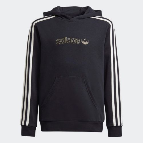 Adidas sprt graphics hoodie