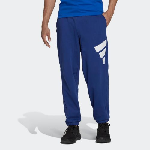 Adidas sportswear future icons logo graphic pants