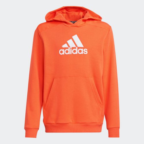 Logo hoodie