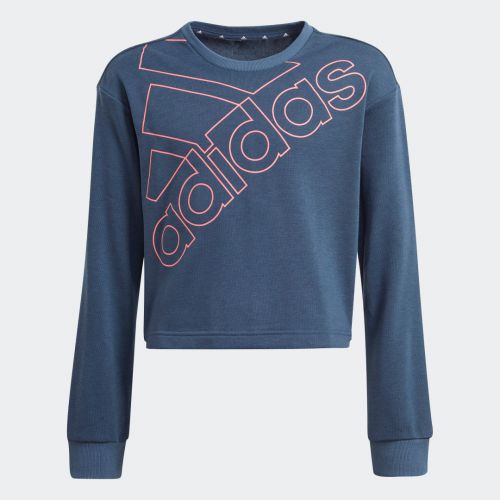 Adidas essentials logo sweatshirt