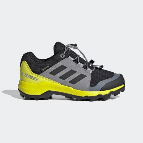 Terrex gore-tex hiking shoes