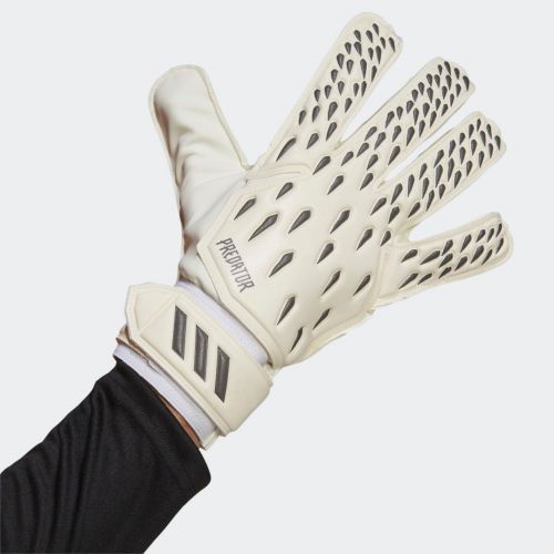 Predator training goalkeeper gloves