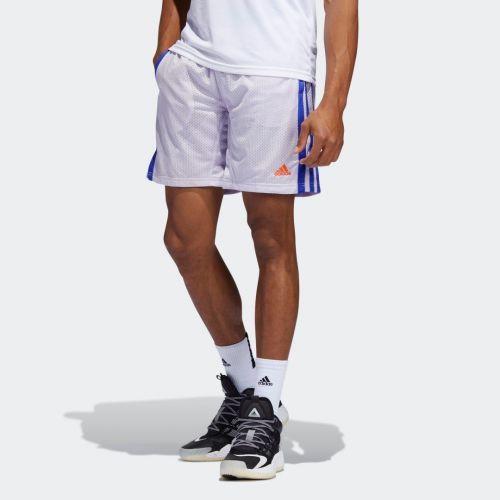 Summer legend shorts