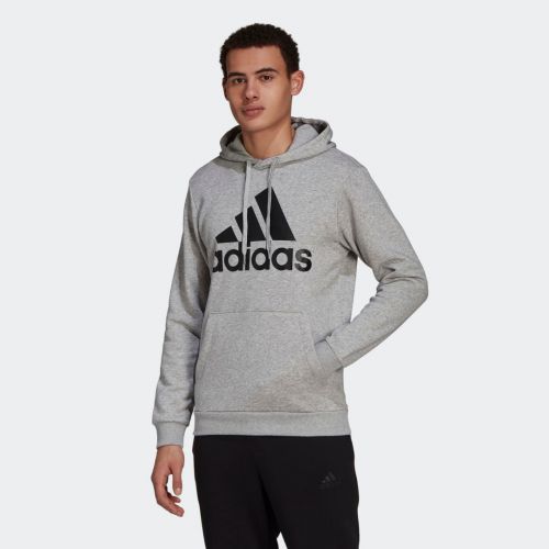 Essentials fleece big logo hoodie