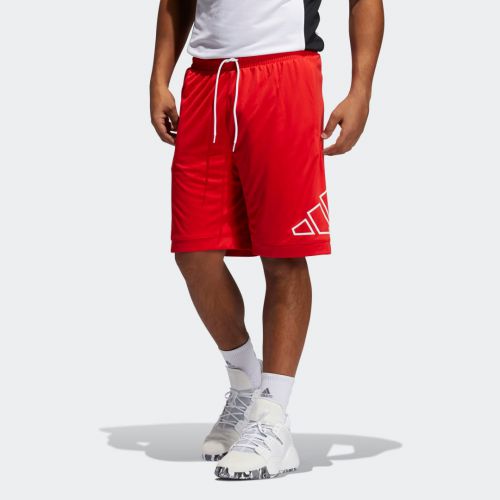 Big logo shorts