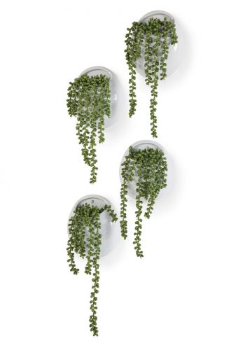 Roślina sztuczna w doniczce na ścianę bonprix zielono-biały