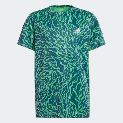 Aeroready primegreen graphic camo tee